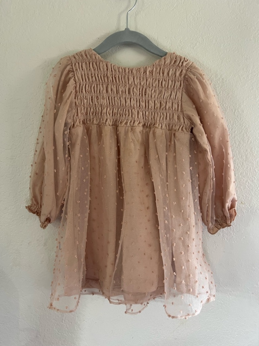 Zara Pink Sheer Swiss Dot Long Sleeve Dress